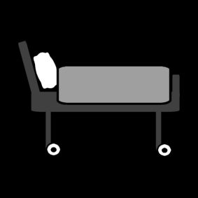 hospital bed / bed on wheels